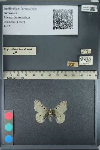 Media type: image;   Entomology 174390